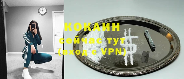 гашик Зеленокумск