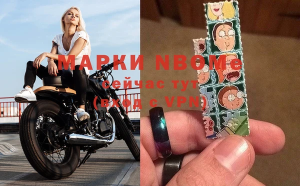 гашик Зеленокумск