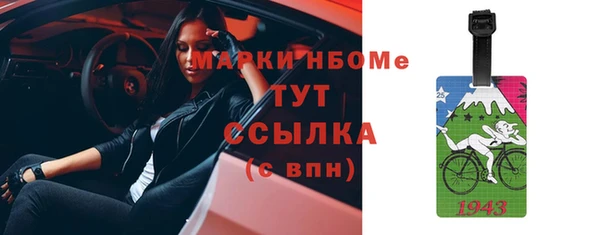 гашик Зеленокумск