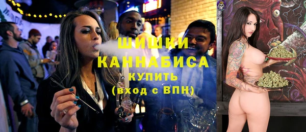 гашик Зеленокумск